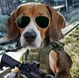 Meet your Posher, Krystal